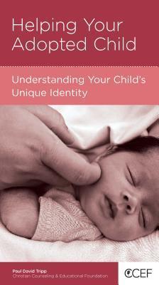 Helping Your Adopted Child book cover