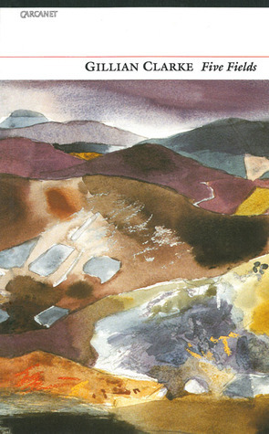 Five Fields book cover
