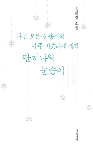 다른 모든 눈송이와 아주 비슷하게 생긴 단 하나의 눈송이 book cover