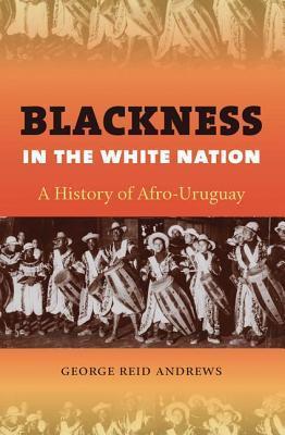 Blackness in the White Nation book cover