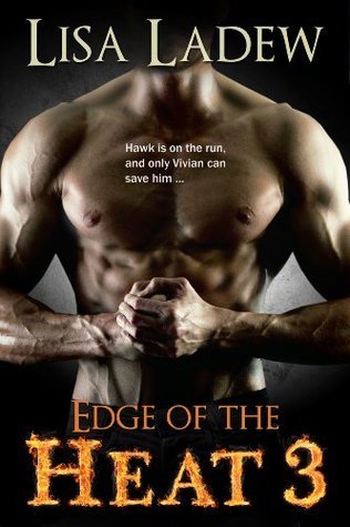 Edge of the Heat 3 book cover