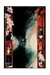 The Sandman, Vol. 1: Preludes & Nocturnes