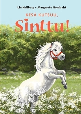 Kesä kutsuu, Sinttu book cover
