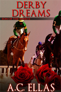 Son of the Wind book cover 2