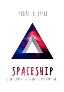 Spaceship book cover