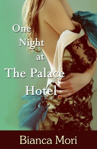 One Night at the Palace Hotel book cover