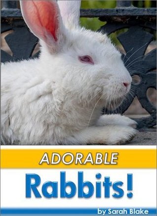 Adorable Rabbits! by Sarah Blake | Goodreads