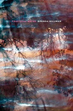 Practical Water book cover