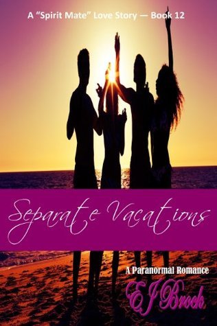 Separate Vacations book cover