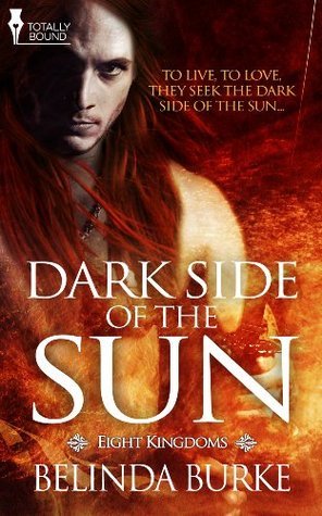 Dark Side of the Sun (Eight Kingdoms #1)