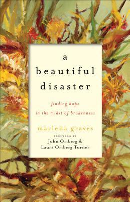 A Beautiful Disaster book cover