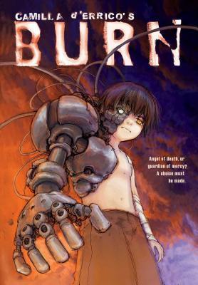 Burn book cover
