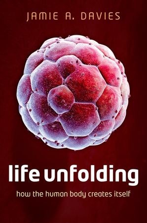 Life Unfolding: How the Human Body Creates Itself
