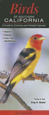 Birds of Southern California: A Guide to Common &amp; Notable Species by ...