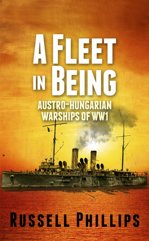 A Fleet in Being book cover