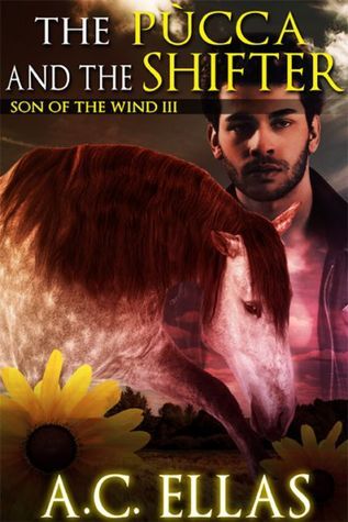 Son of the Wind book cover 3