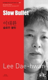 Slow Bullet book cover