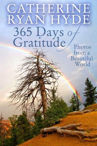 365 Days of Gratitude book cover