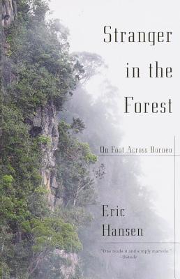 大畠雅人 Into the dark forest （1/8） Kikuo Ichikawa - IMDb