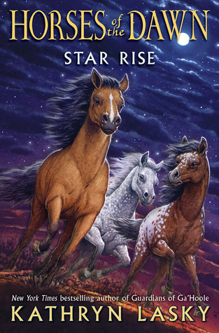 Star Rise book cover