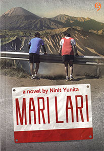 Mari Lari book cover