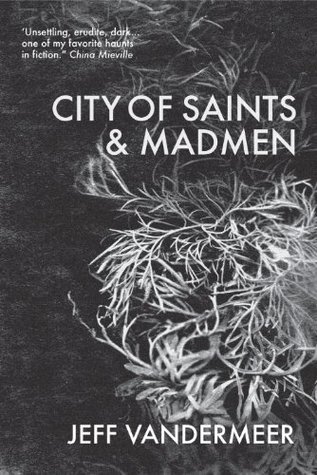 City of Saints and Madmen (Ambergris, #1)