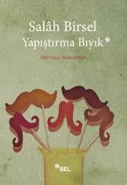 Yapıştırma Bıyık book cover