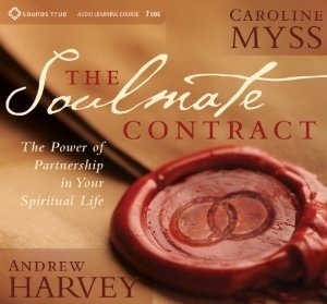 The Soulmate Contract book cover