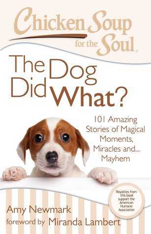 Chicken Soup for the Soul book cover