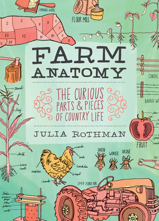 Anatomy book cover 1