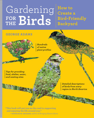 Gardening for the Birds: How to Create a Bird-Friendly Garden