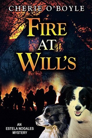 Fire at Will's
