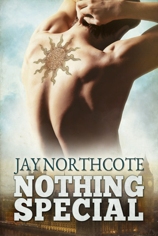 Nothing Special book cover