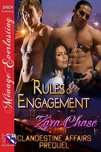 Clandestine Affairs book cover 1