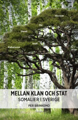 Mellan klan och stat: Somalier i Sverige