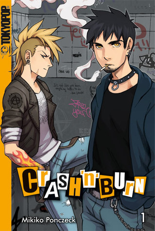 Crash 'n' Burn book cover 1