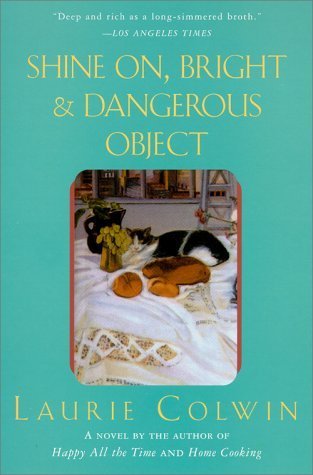 Shine On, Bright and Dangerous Object book cover