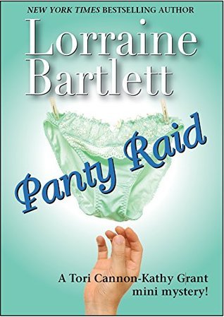 Panty Raid book cover