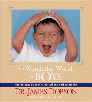 The Wonderful World of Boys book cover