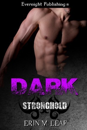Stronghold book cover 1