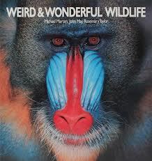 Cover of Weird & Wonderful Wildlife