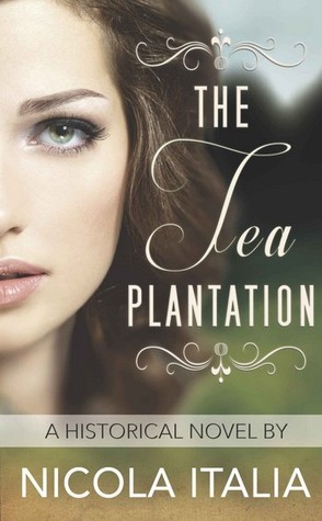 The Tea Plantation