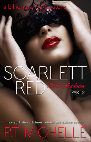 In the Shadows book cover 2