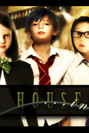 Hogwarts Houses Divided