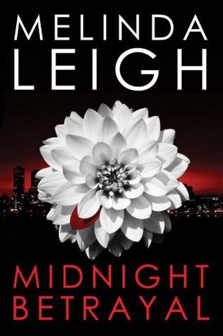 Midnight book cover 3
