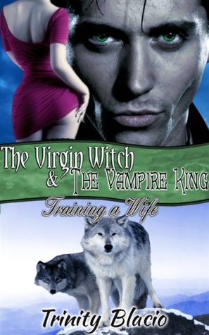 Training a Wife book cover
