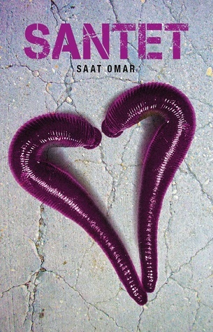 SANTET book cover