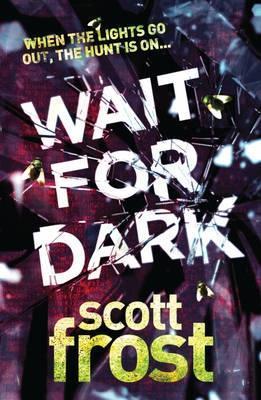 Wait For Dark book cover
