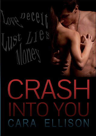 Crash Into You book cover
