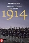 Stridens skönhet och sorg - 1914